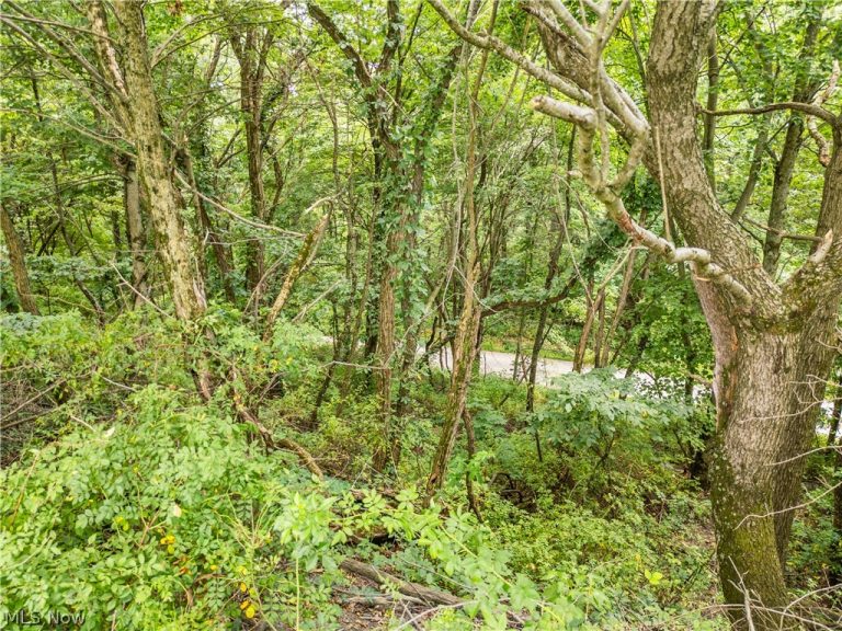 Township Road 85, Baltic, OH - Photo 6