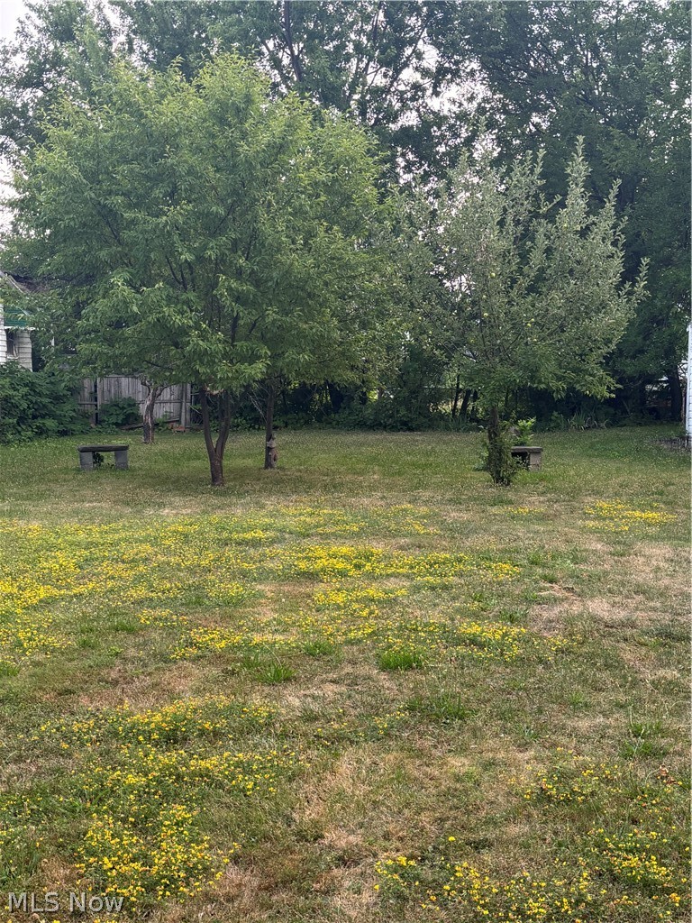 829 Whitcomb Road, Cleveland, OH - Photo 4