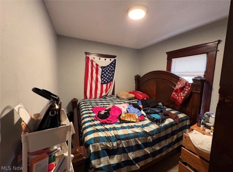 847 Carlysle Street, Akron, OH - Photo 8