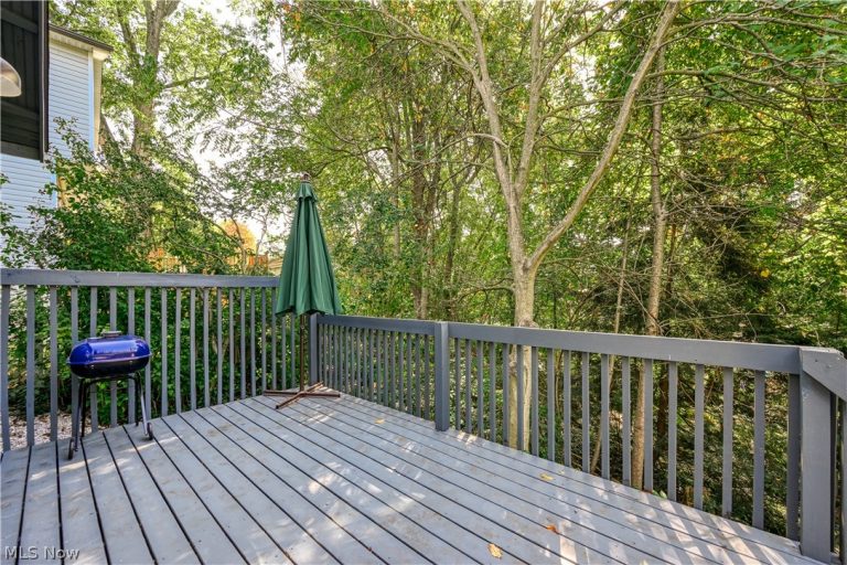 2266 Windemere Avenue, Akron, OH - Photo 8