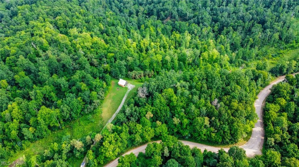 Ogles Ridge Road, Dexter City, OH