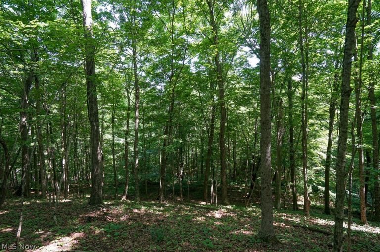 235 Butterbean Ridge Rd, Philo, OH - Photo 8