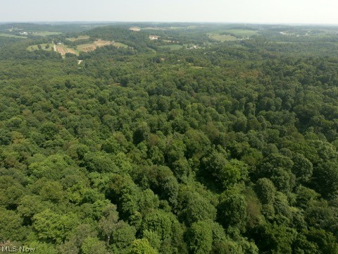 1047 Poinsettia Road, Scio, OH - Photo 2