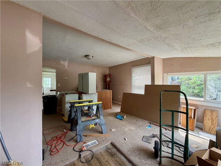 37454 Euclid Avenue, Willoughby, OH - Photo 3