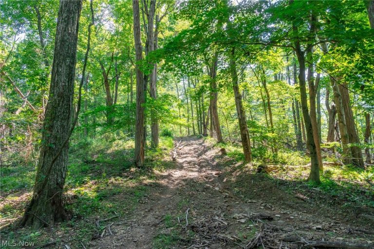 31800 Chestnut Ridge Road #2, Danville, OH - Photo 3