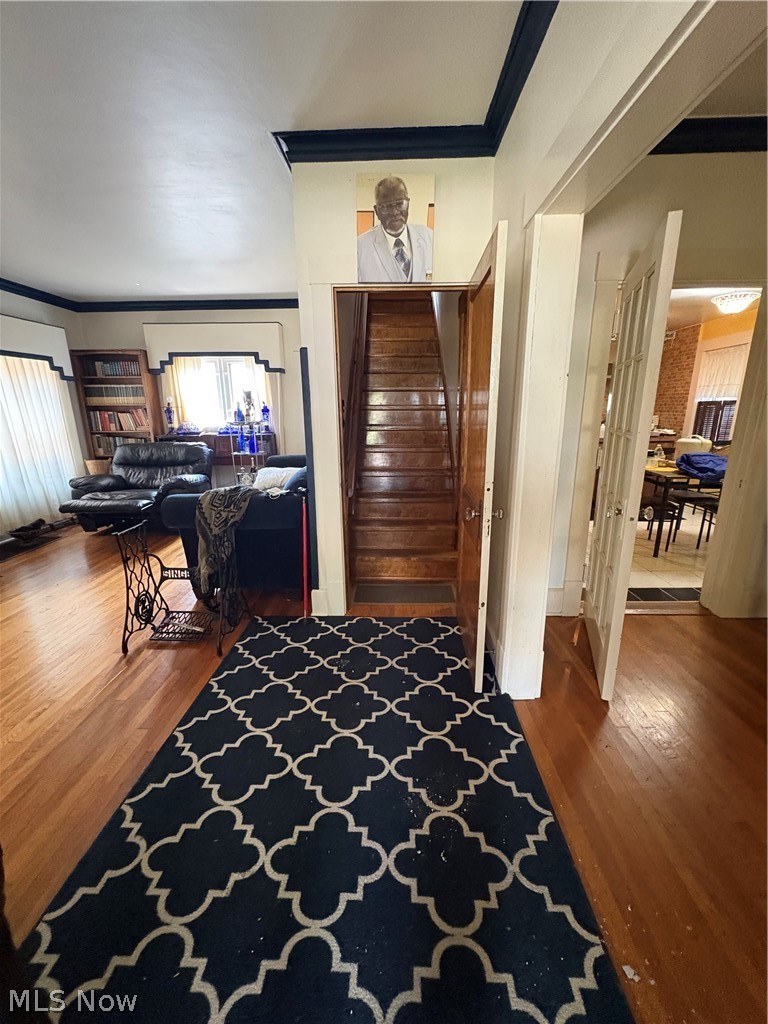 251 Alameda Avenue, Youngstown, OH - Photo 4
