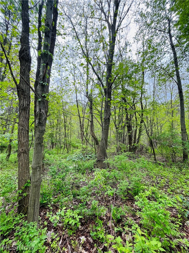 2215 Cambrian Street, Madison, OH - Photo 4