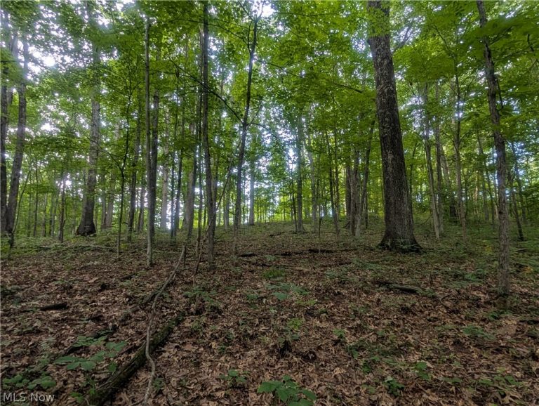 0 Tract A E Reinersville Road, Caldwell, OH - Photo 8