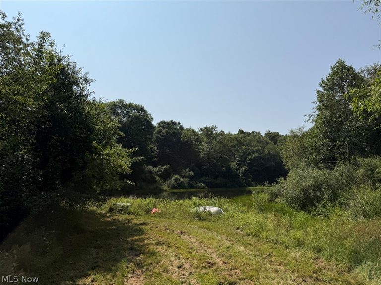 1047 Poinsettia Road, Scio, OH - Photo 8