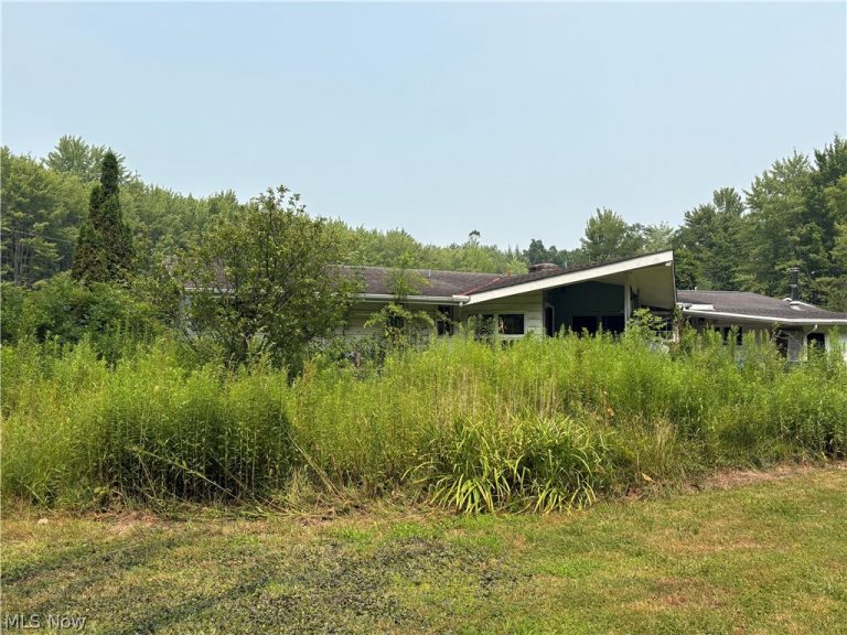3085 State Road, Rock Creek, OH - Photo 8