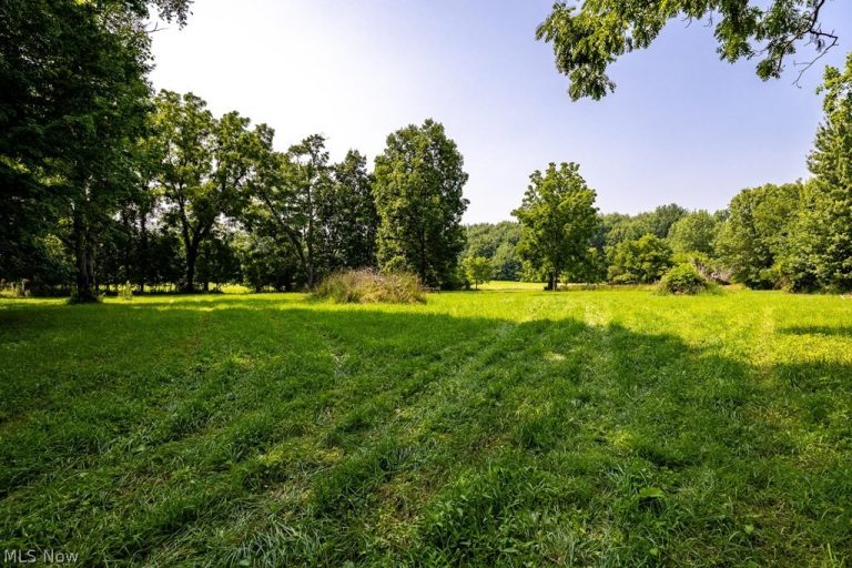 11113 Harmon Road, Berlin Heights, OH - Photo 3