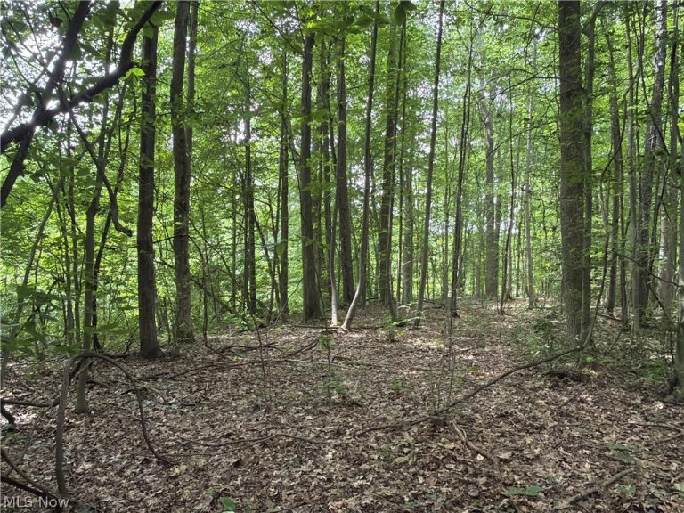 Crosby Cook Road, Rome, OH - Photo 3