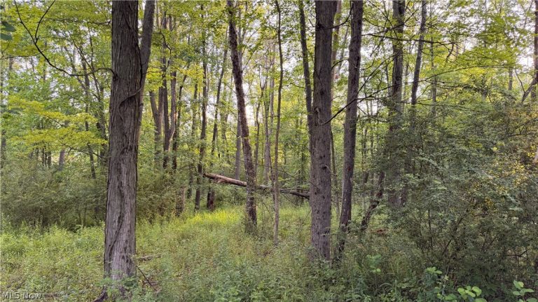 St Route 43, Streetsboro, OH - Photo 5
