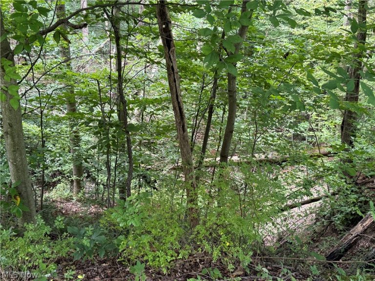 2699 Ruswil Drive, Millersburg, OH - Photo 5