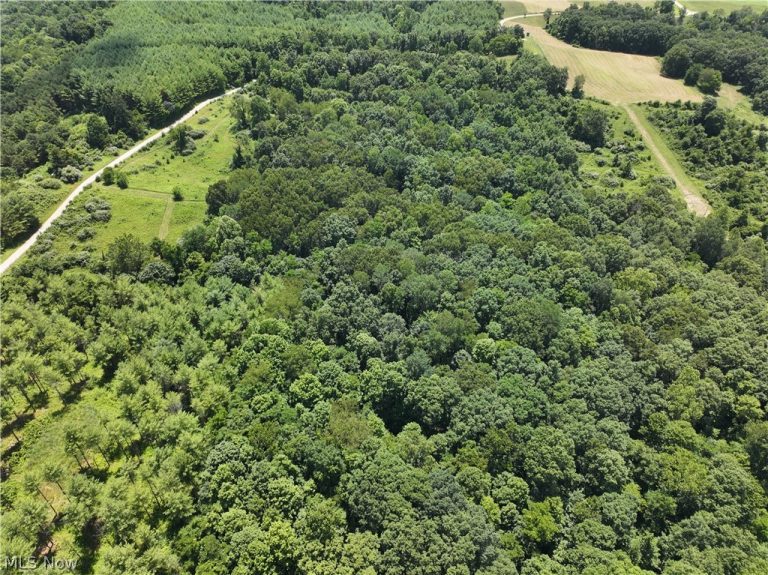 0 Tract B Brownrigg Road, Caldwell, OH - Photo 4