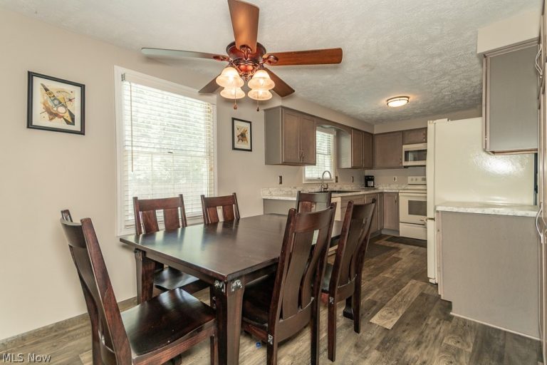 10219 Lola Court, Concord Twp, OH - Photo 6