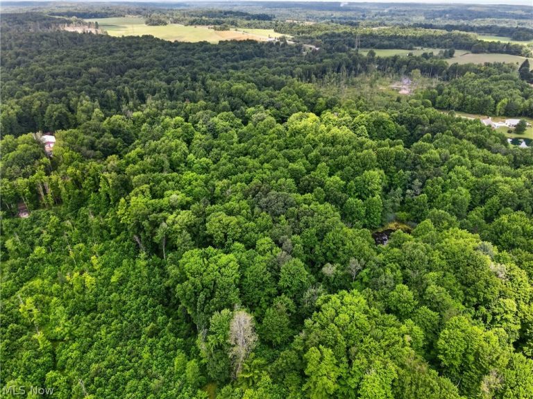 Keefus Road, Conneaut, OH - Photo 4