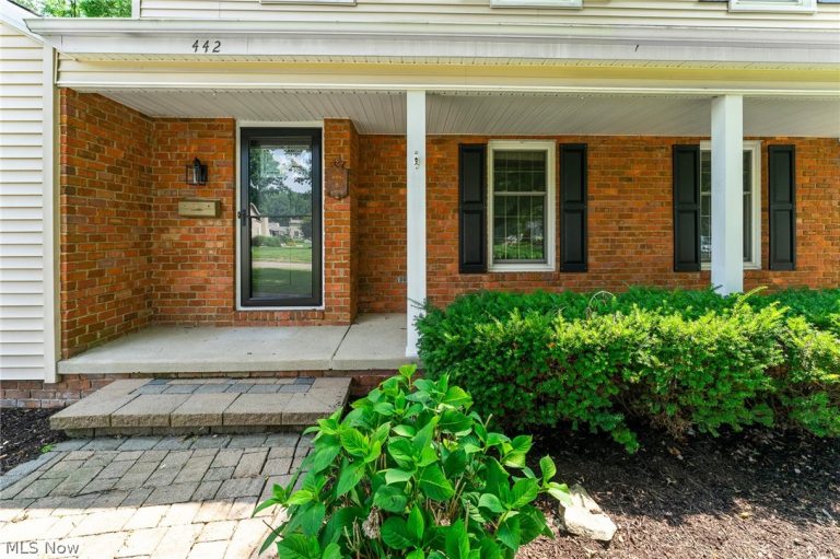 442 Briarcliff Drive, Canfield, OH - Photo 3