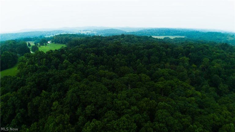 Carpenter Lane, Waverly, WV - Photo 3