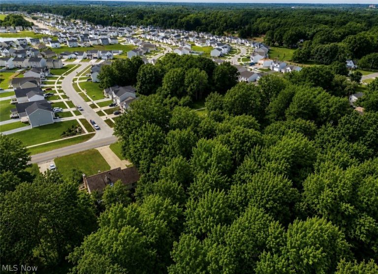 VL Indian Hollow Road, Elyria, OH - Photo 5