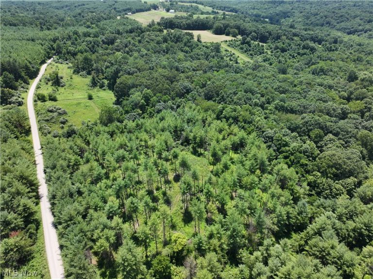 0 Tract B Brownrigg Road, Caldwell, OH - Photo 5