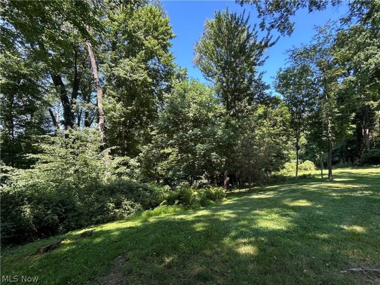 2305 Helena Avenue, Massillon, OH - Photo 8