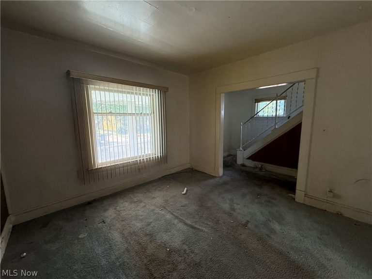 3533 133rd Street, Cleveland, OH - Photo 3