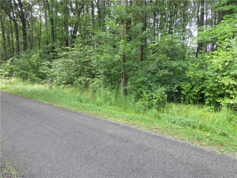 4th Avenue, Andover, OH, 44003