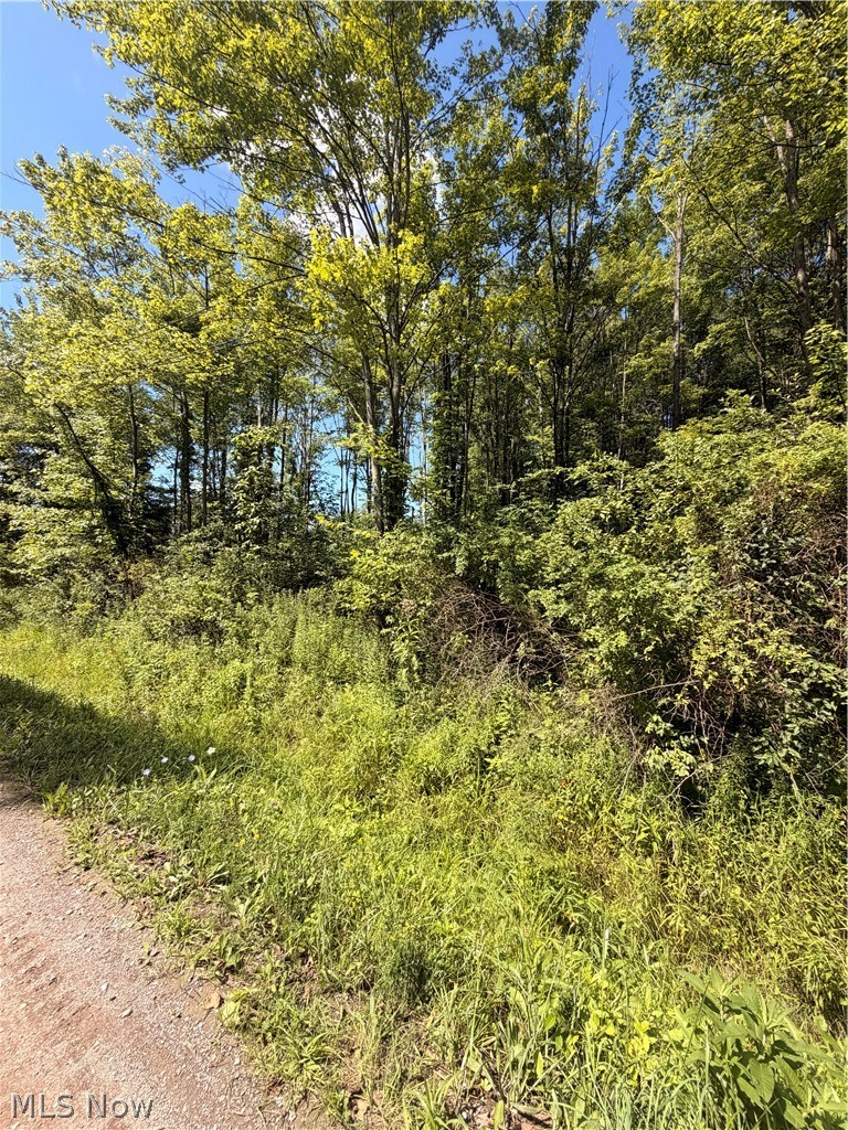 Forman Road, Rock Creek, OH - Photo 2