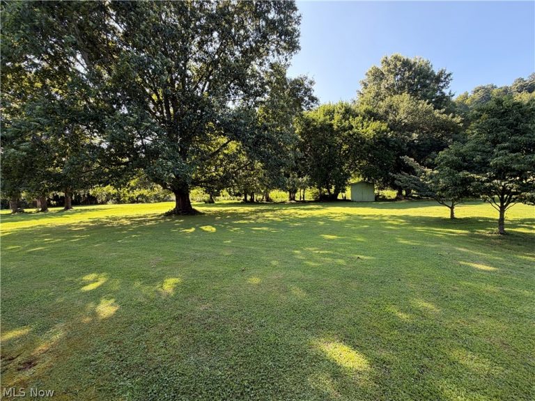 1124 Williamson Avenue, New Matamoras, OH - Photo 3