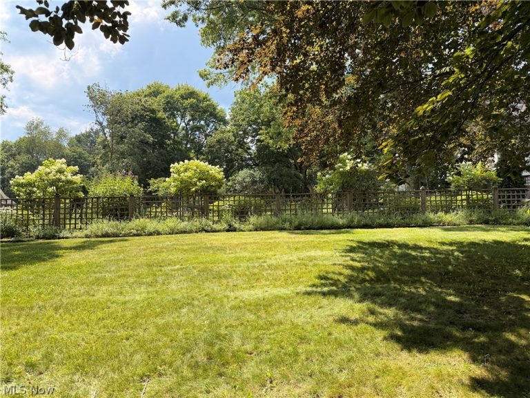 564 Merriman Road, Akron, OH - Photo 8