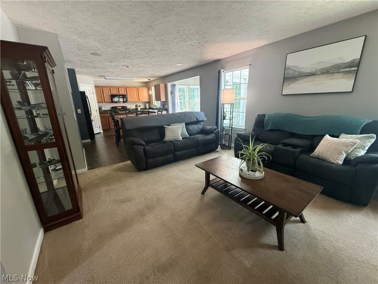 859 Arbor Trails Drive, Macedonia, OH - Photo 8