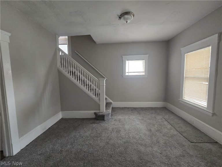 1315 114th Street, Cleveland, OH - Photo 3
