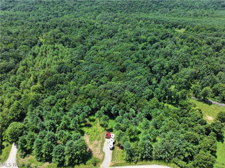 0 Tract A E Reinersville Road, Caldwell, OH - Photo 2