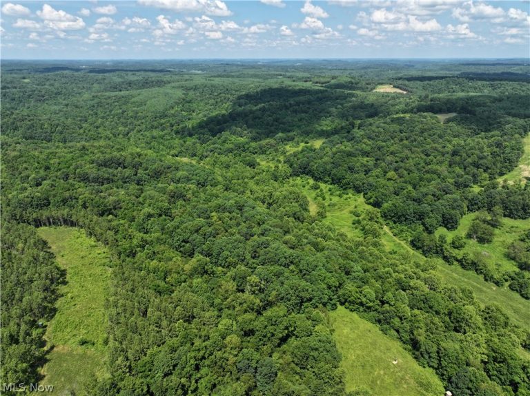 0 Tract D E. Reinersville Road, Mcconnelsville, OH - Photo 4