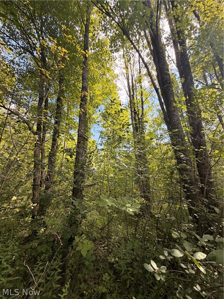 Forman Road, Rock Creek, OH - Photo 5