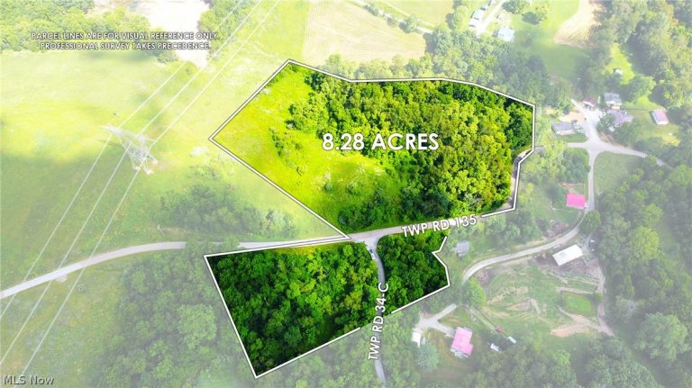Township Road 135, Dillonvale, OH - Photo 3