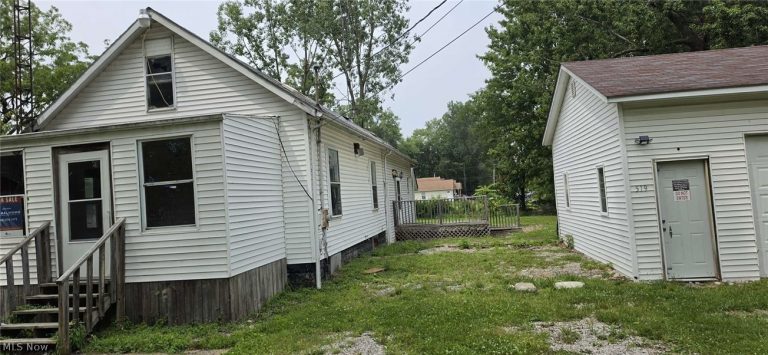 517 Dewitt Street, Lorain, OH - Photo 4