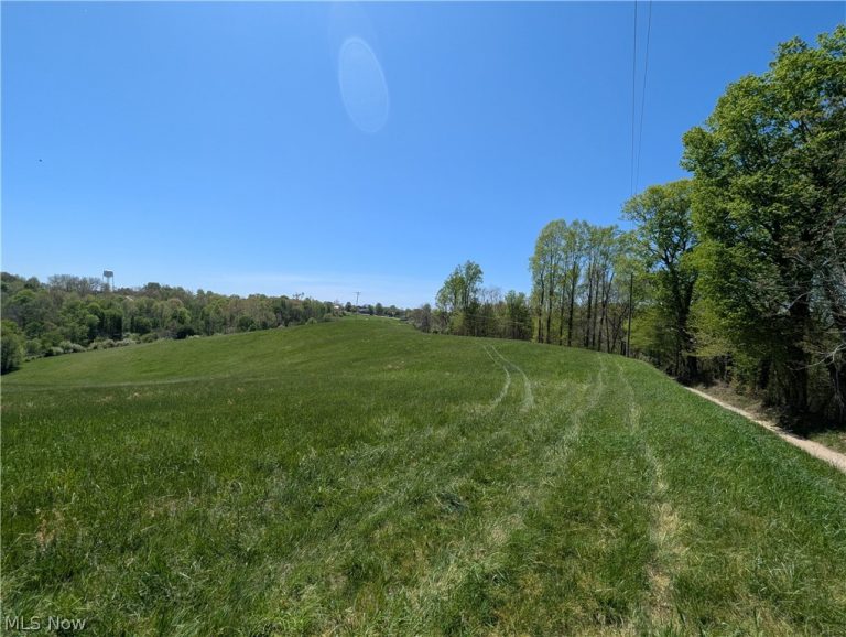 Sandy Lane, Chesterhill, OH, 43728