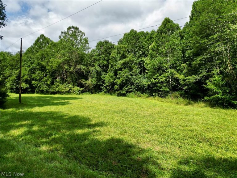 Homestead Drive, New Concord, OH, 43762