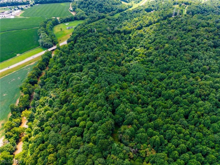 Hill Road, Dresden, OH - Photo 4