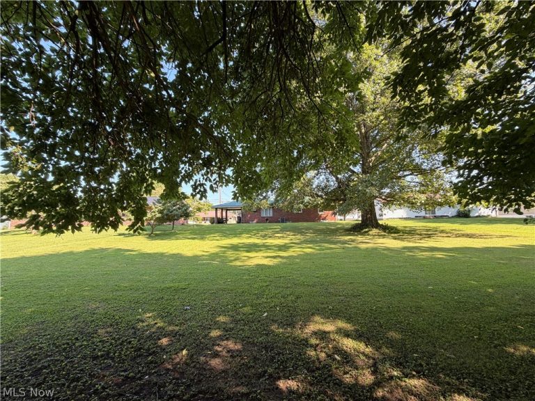 1124 Williamson Avenue, New Matamoras, OH - Photo 4