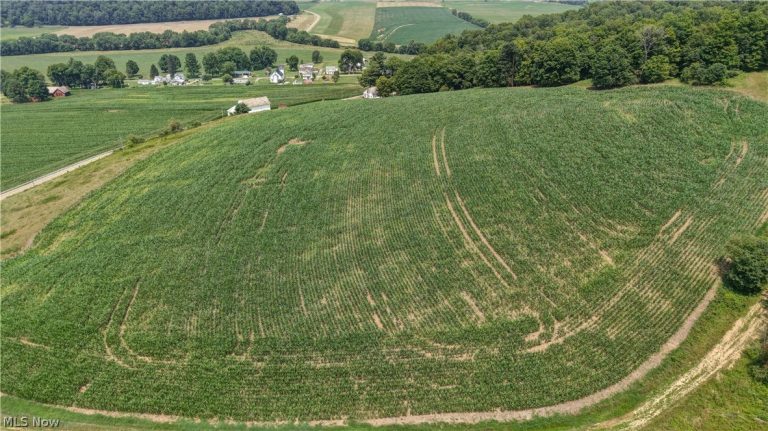 30410 State Route 60, Warsaw, OH, 43844