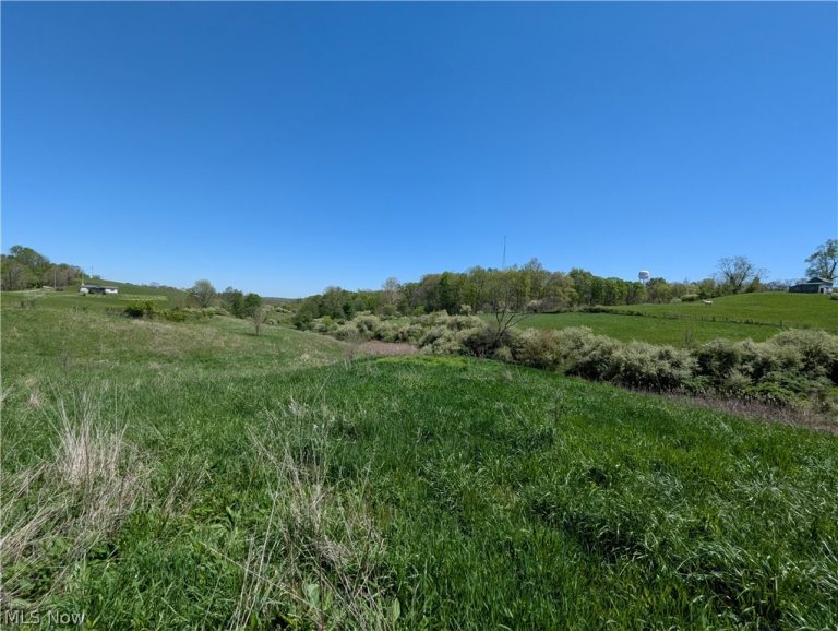 Sandy Lane, Chesterhill, OH - Photo 6