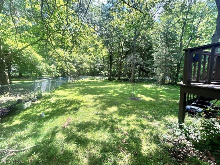 1011 Learidge Road, Lyndhurst, OH - Photo 3