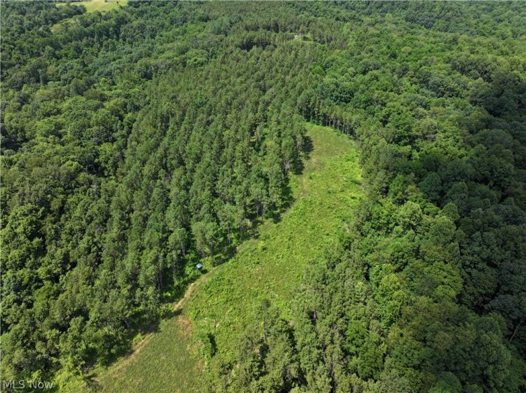 0 Tract D E. Reinersville Road, Mcconnelsville, OH - Photo 5