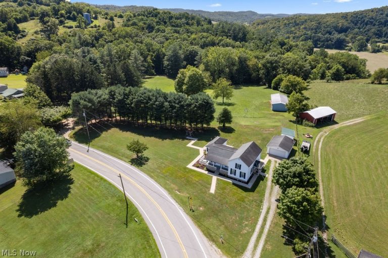 466 Palestine Road, Elizabeth, WV - Photo 2