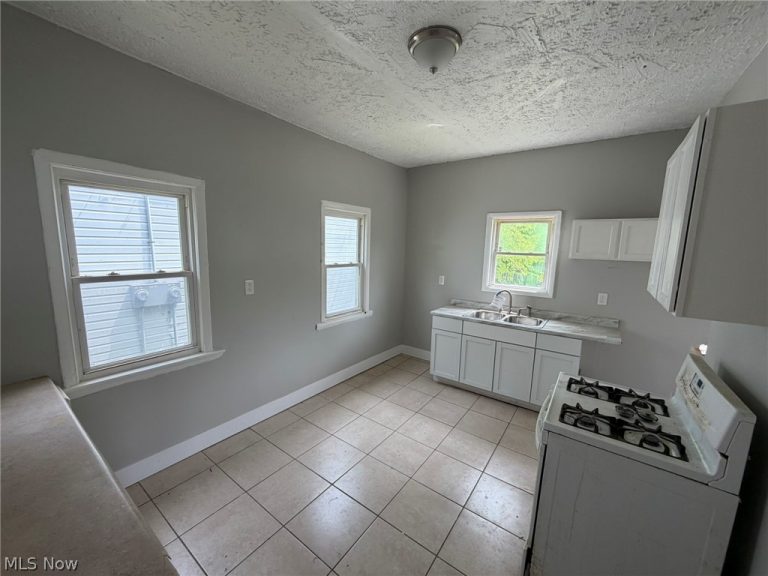 7205 Lawn Avenue, Cleveland, OH - Photo 8