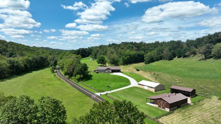 48800 Foxes Bottom Road, Cadiz, OH - Photo 4