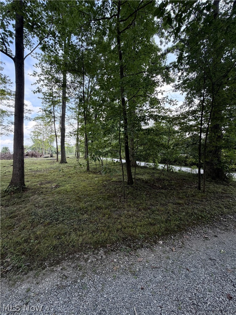 9299 Gilbert Road, Ravenna, OH - Photo 3